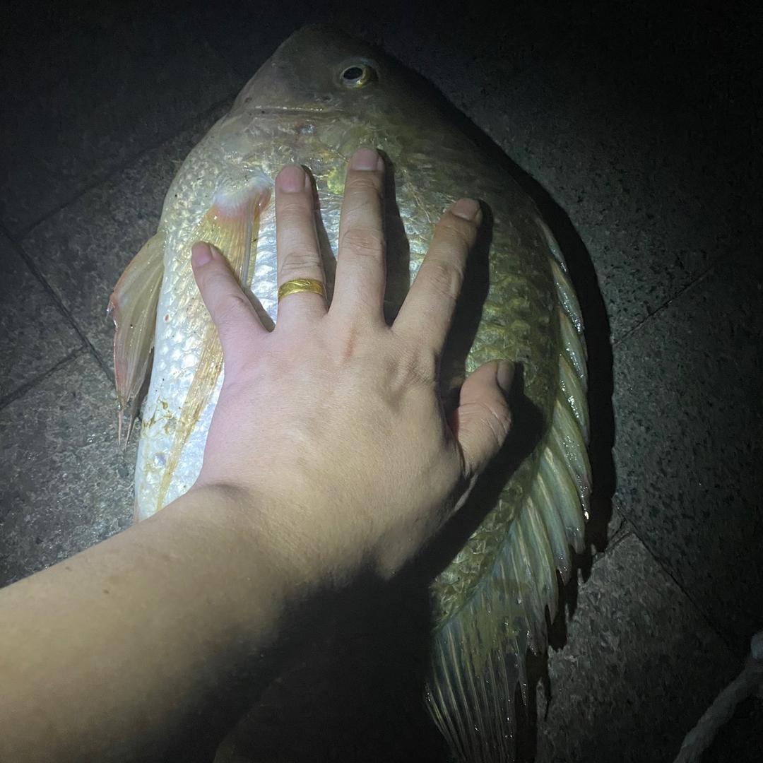 神枪之粤钓者之兄弟烧烤