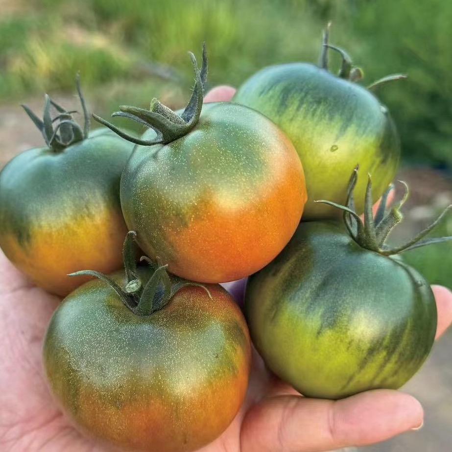 温室大棚材料~园区订单农业