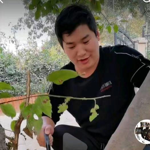 河南忠鼓乐器郑州市惠济区鼓音琴行