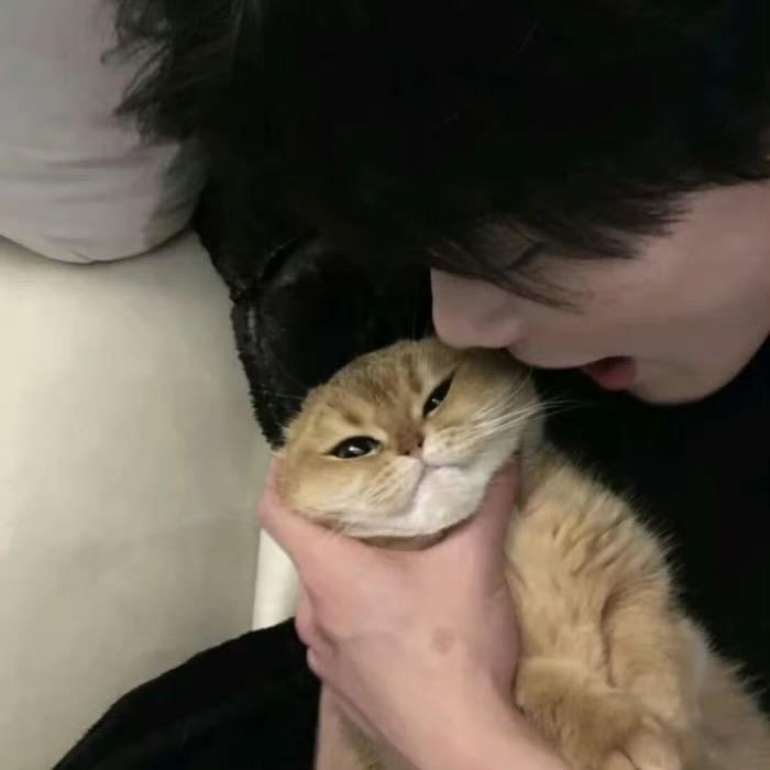 陈晚意