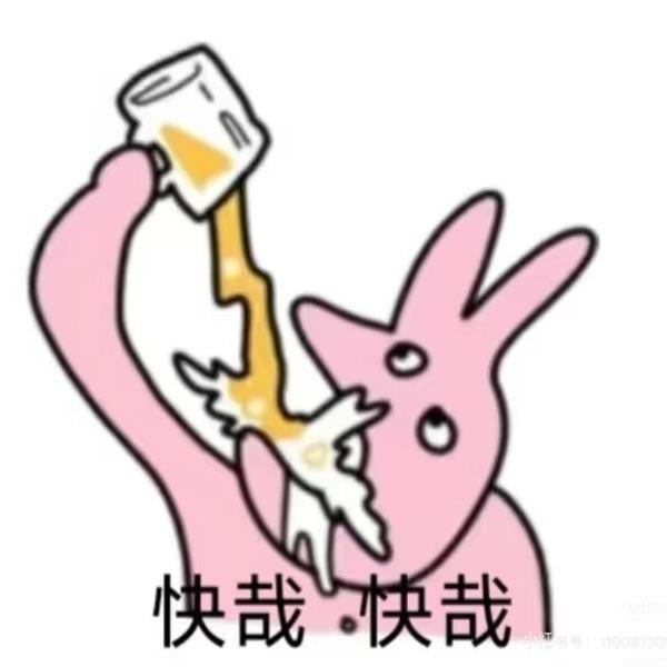小猫围巾🧣