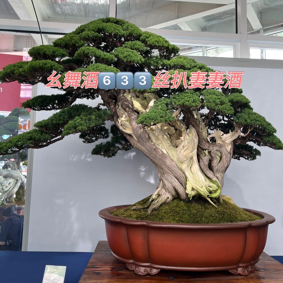 雅静园花卉盆景