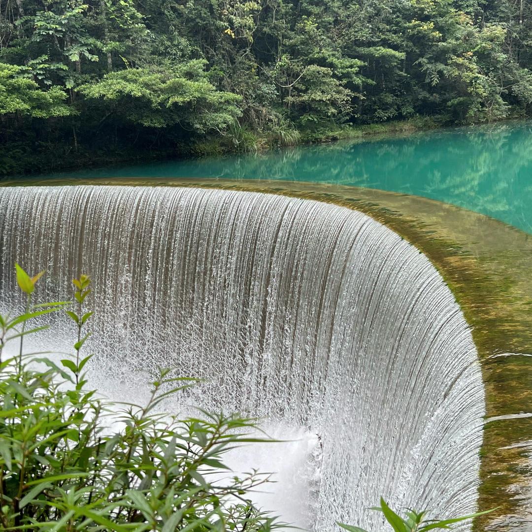 唐唐带你看房