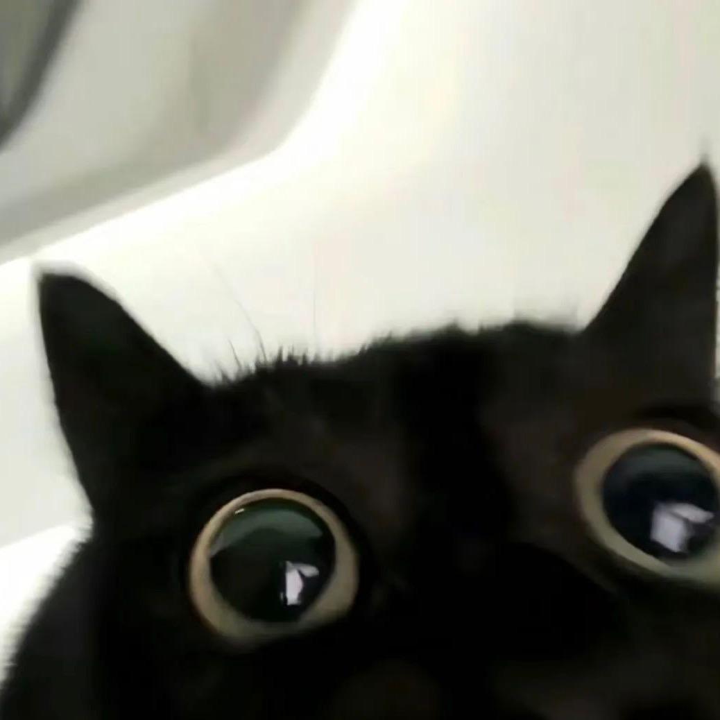 Why