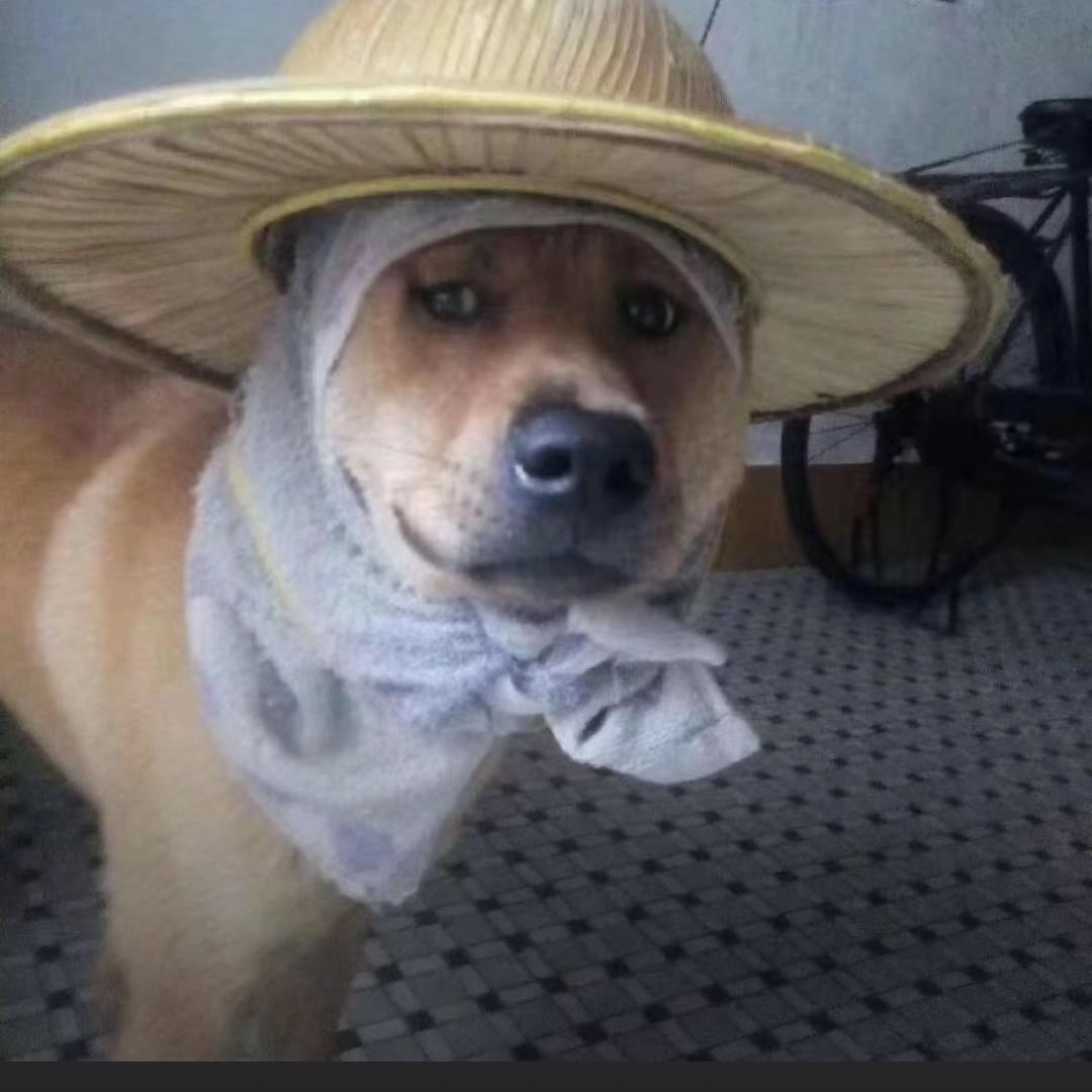 其他人做得到吗