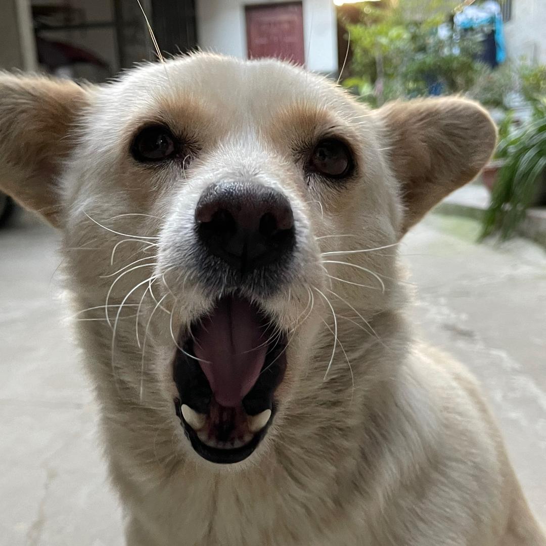 口腔溃疡一生之敌