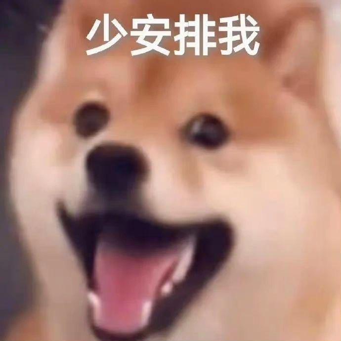 垚垚活力满满哈哈