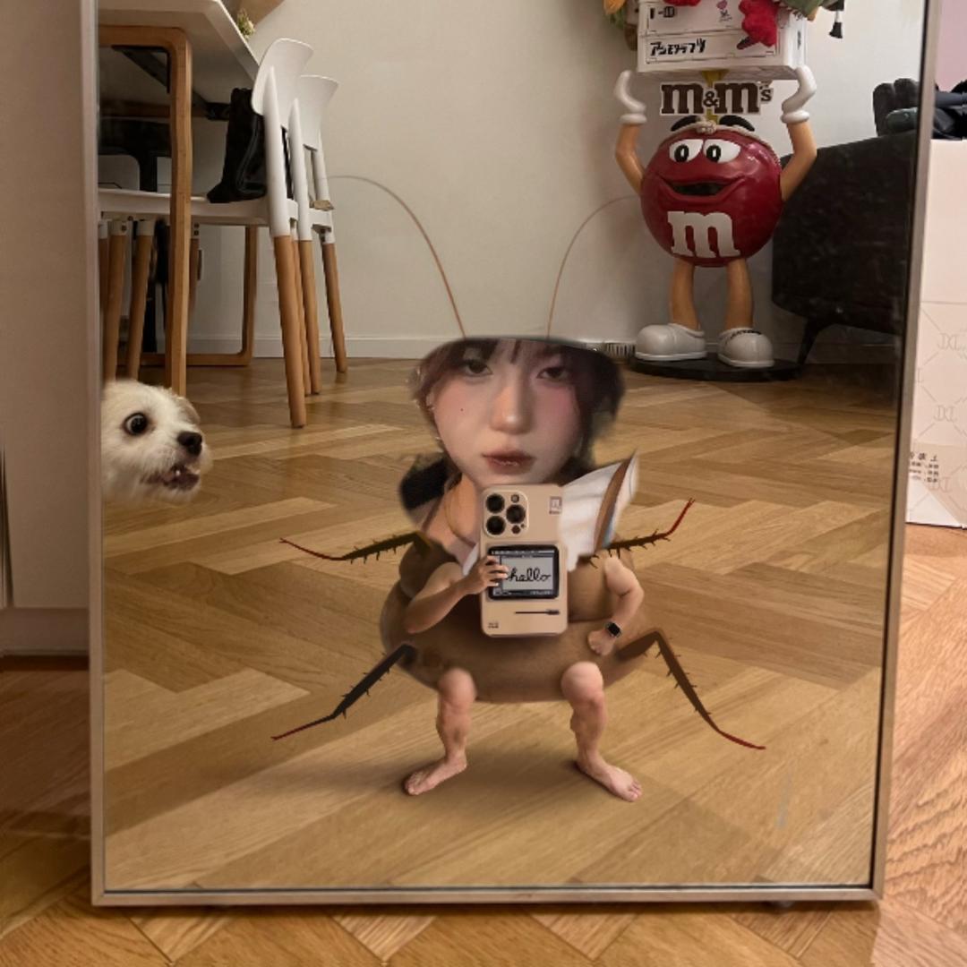 王淼洋