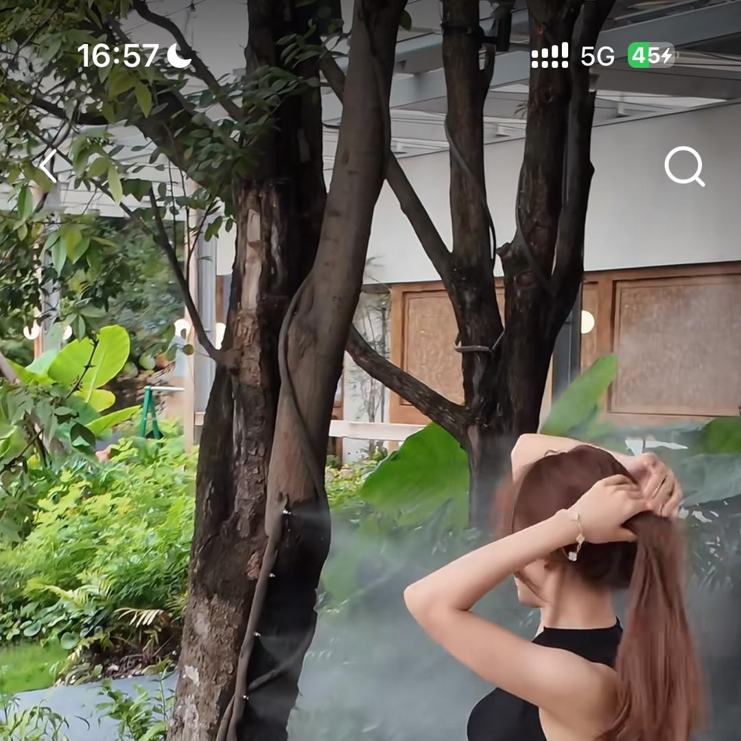 美嘟嘟嘟