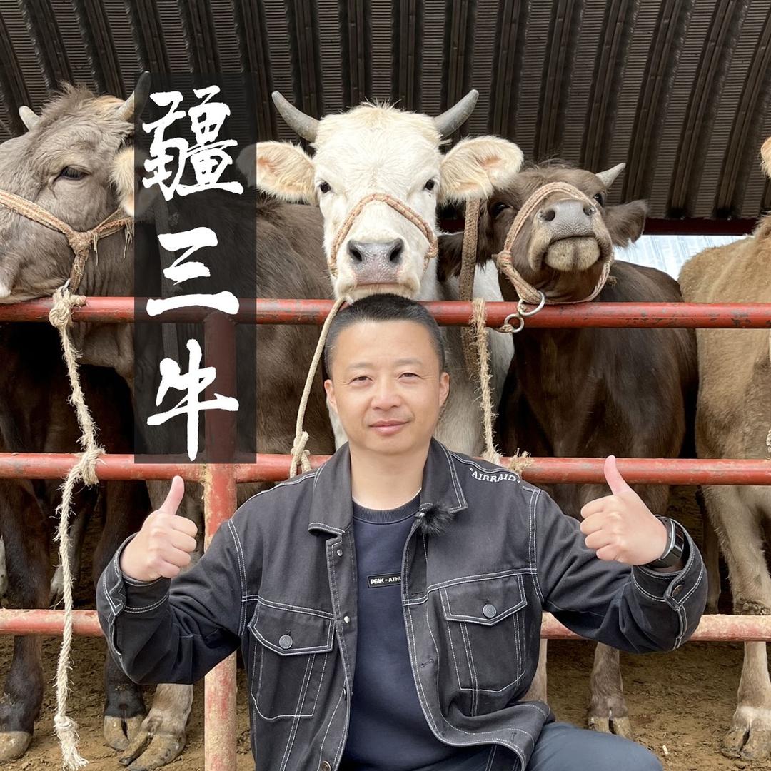 疆三牛