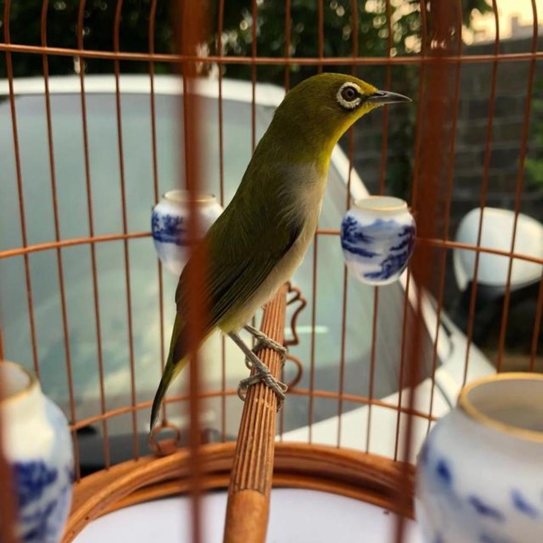 唐小武