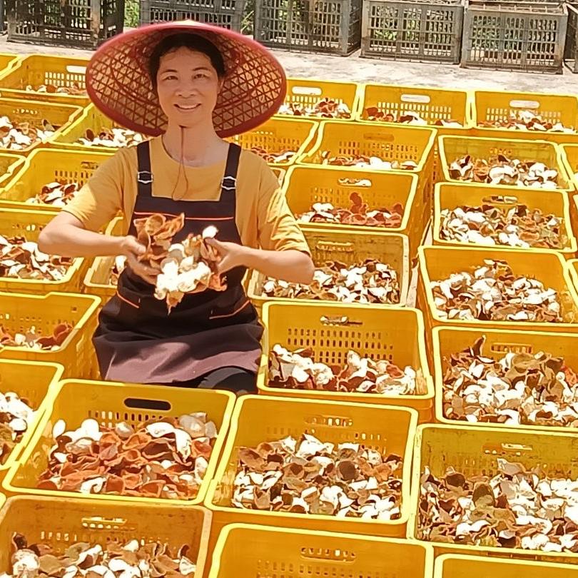 老朱陈皮 新会果农直发