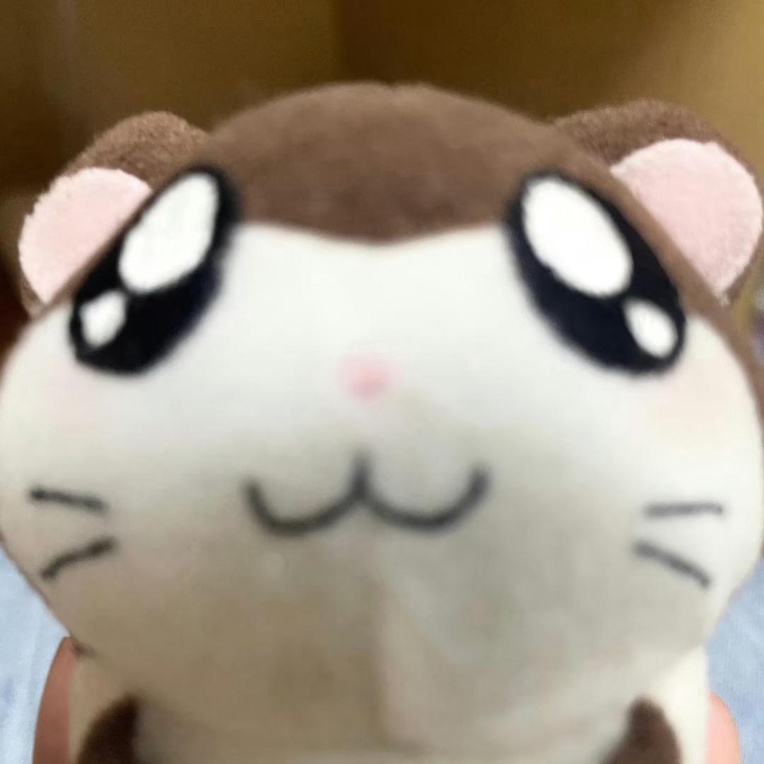 哇。