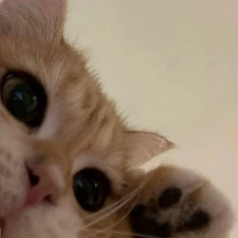 @缘.