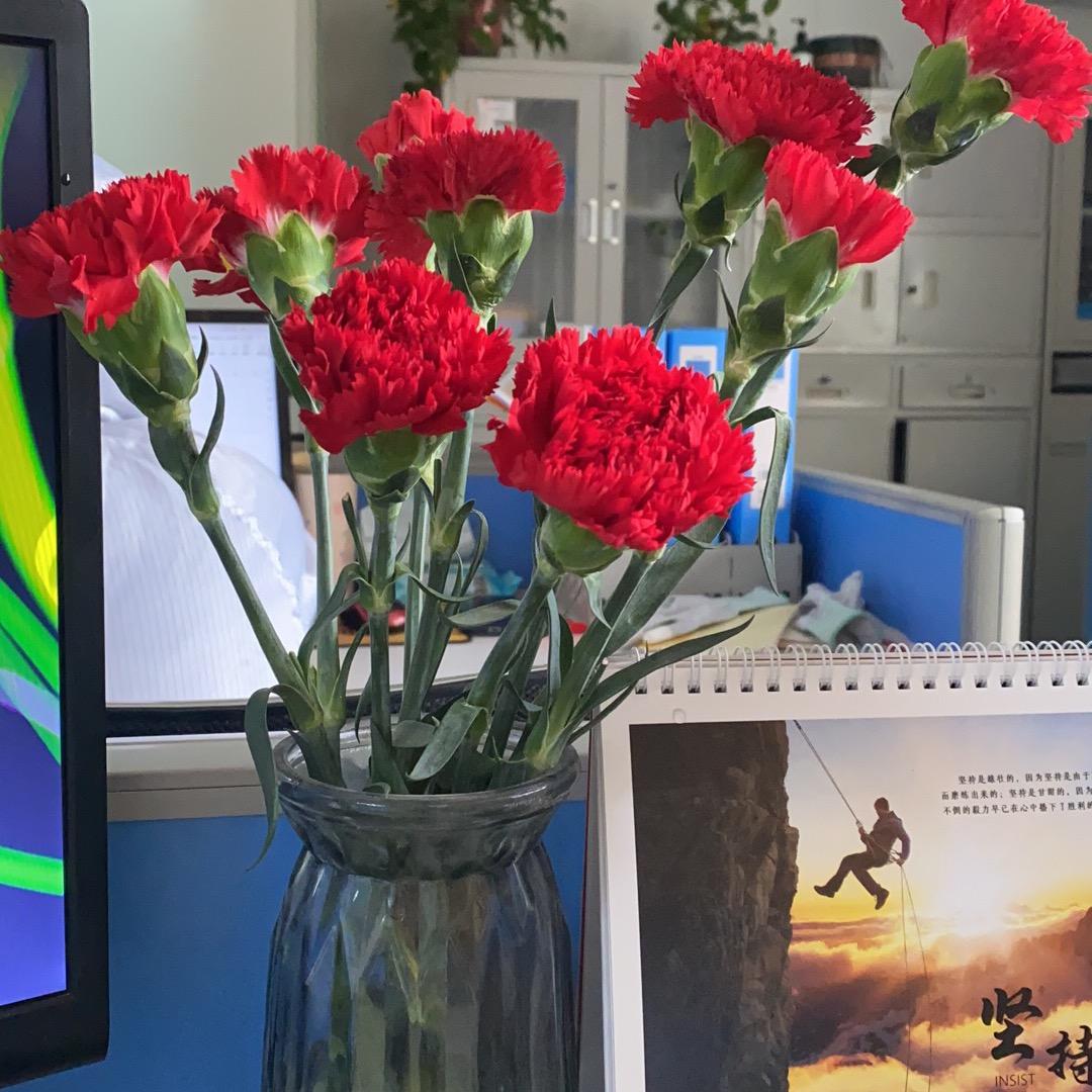 @不语（自用好物推荐）