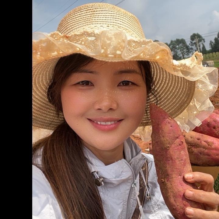 红 心蜜薯