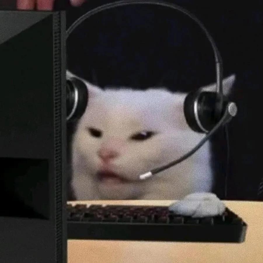 ꧁猫♑️优꧂