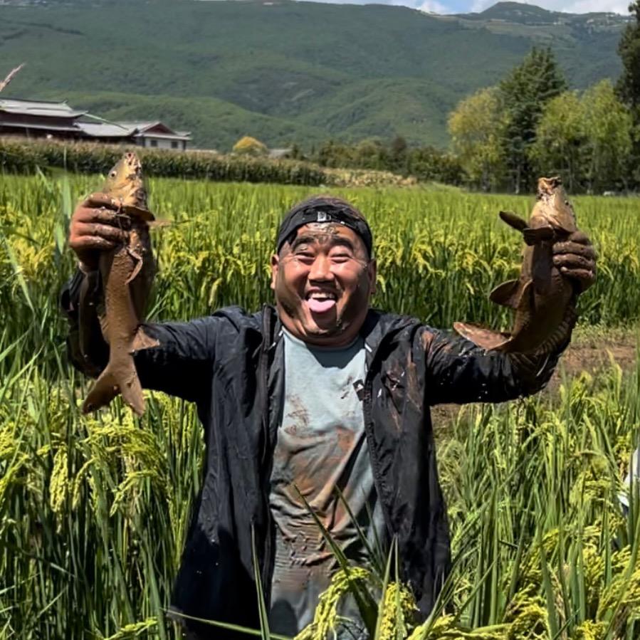 丽江李铁
