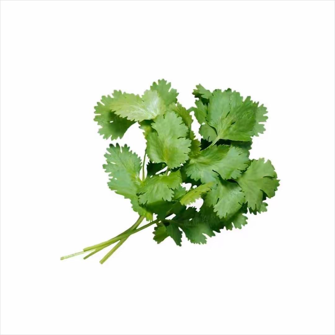 香菜.