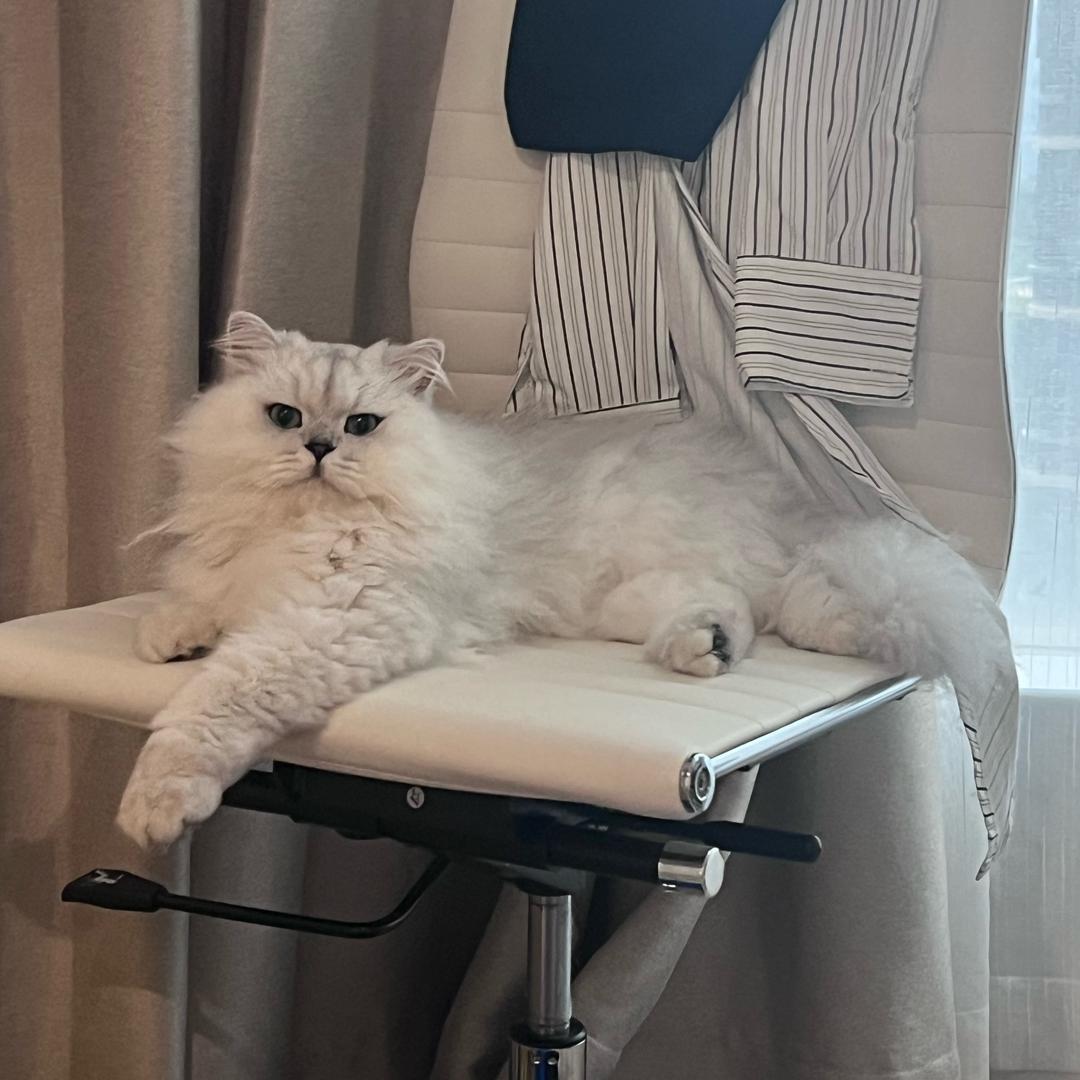 对方正在长鼻毛