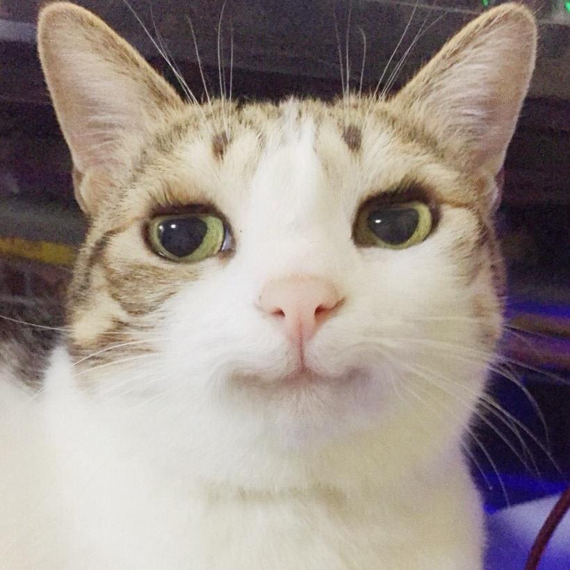 说一句要开心🎀就是要开心不emo