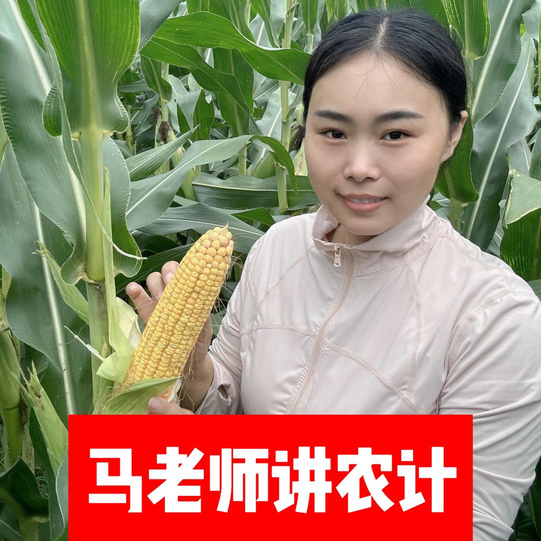 马老师讲农技（农欢种业精选）