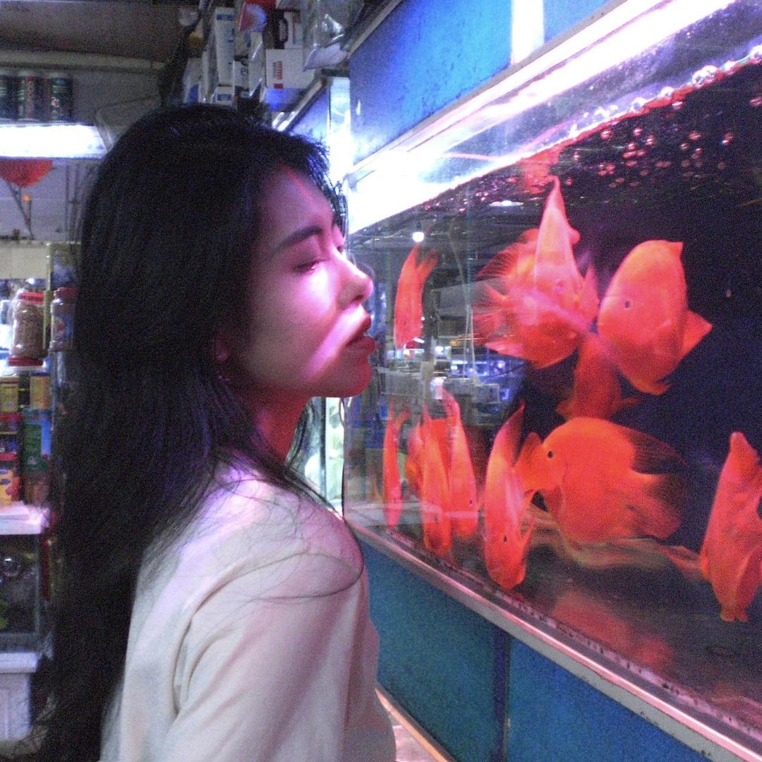 珈珈谊子