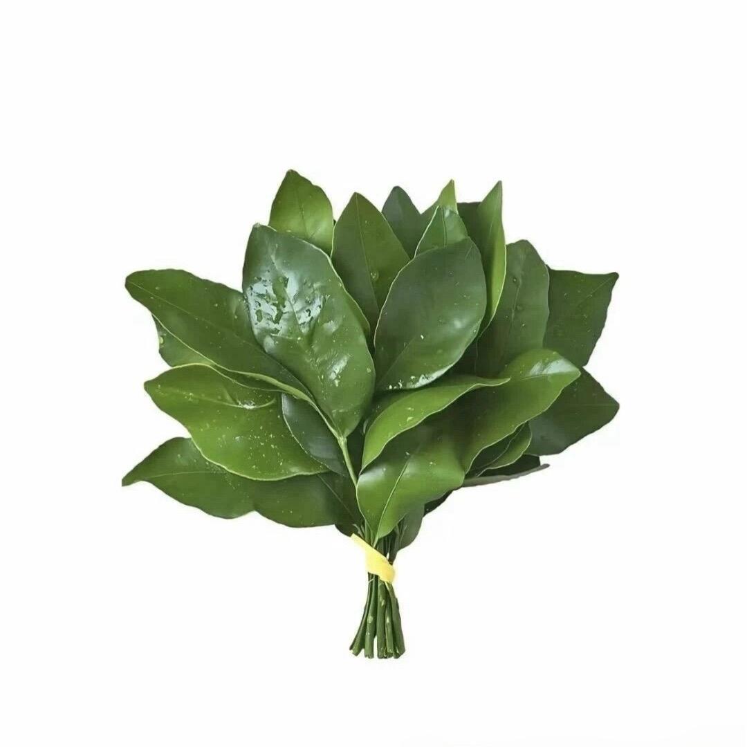 木子小响