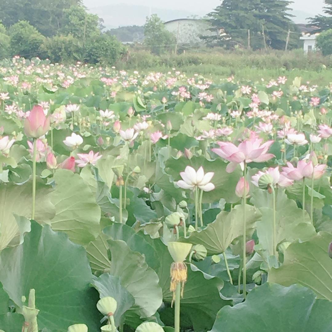 永远青春