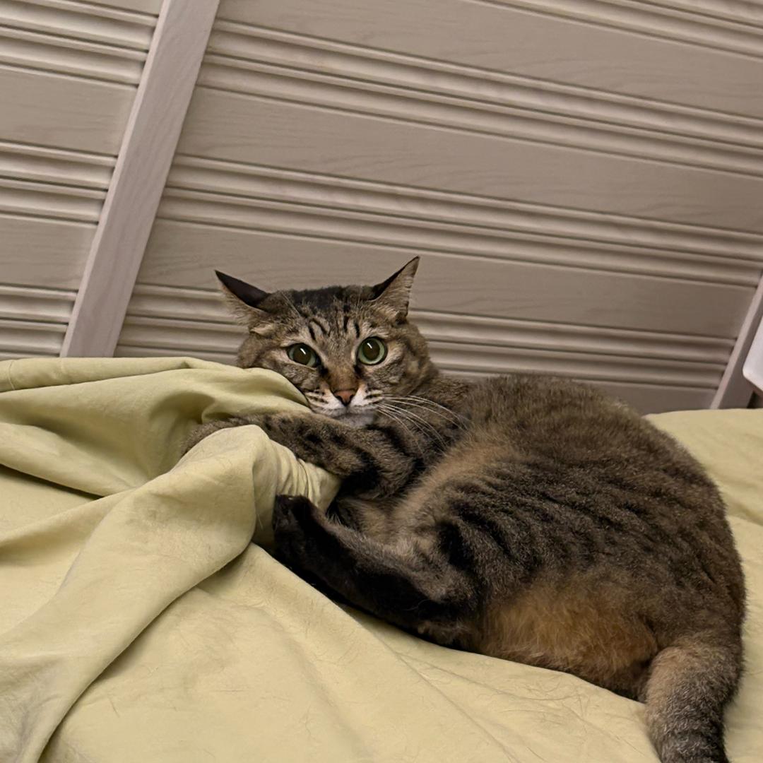 经常想把地球炸了