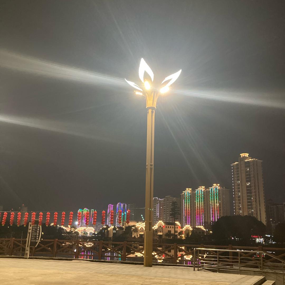王朋