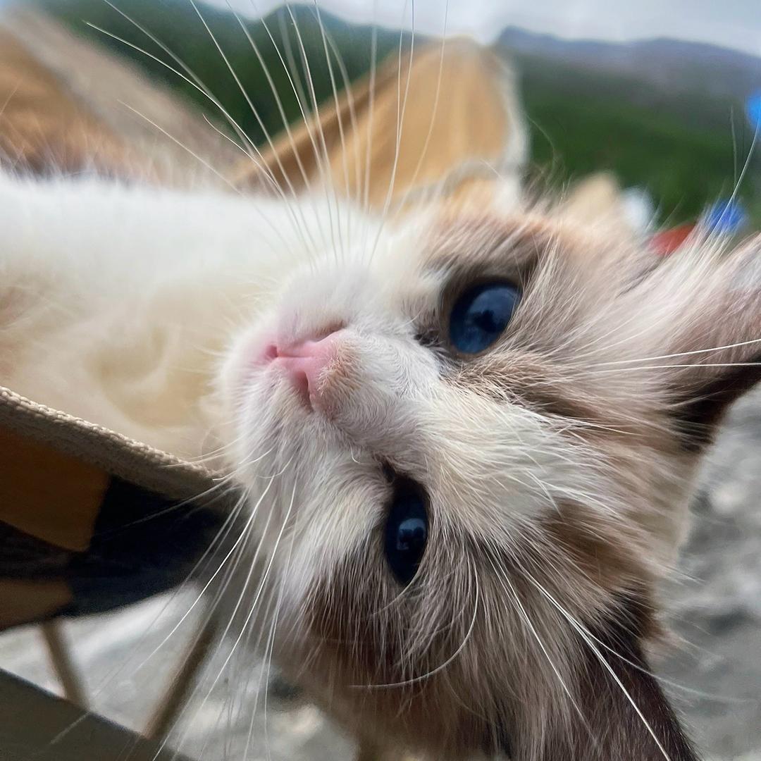 小七的咖啡漫游日记