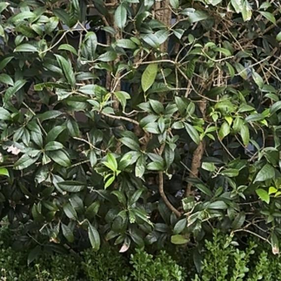 加油👏🐲🐿️🦔🐦‍🔥