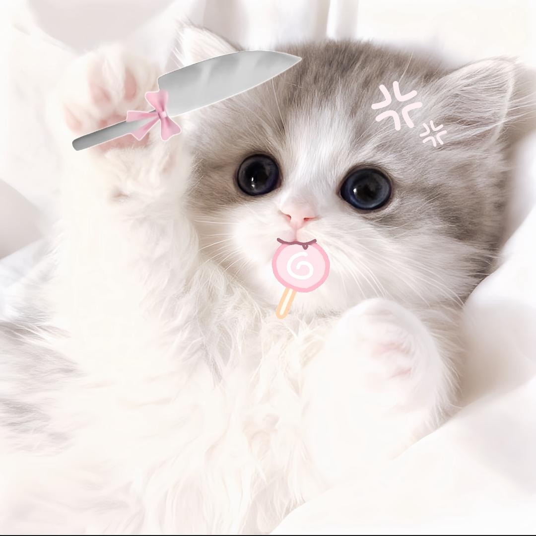 vv头像