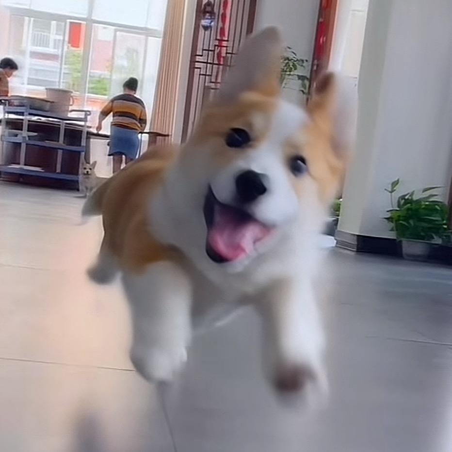 出云