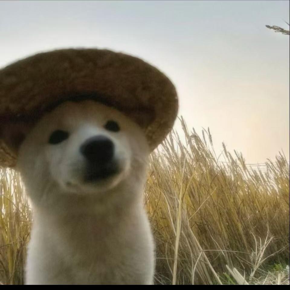 幸福的起点