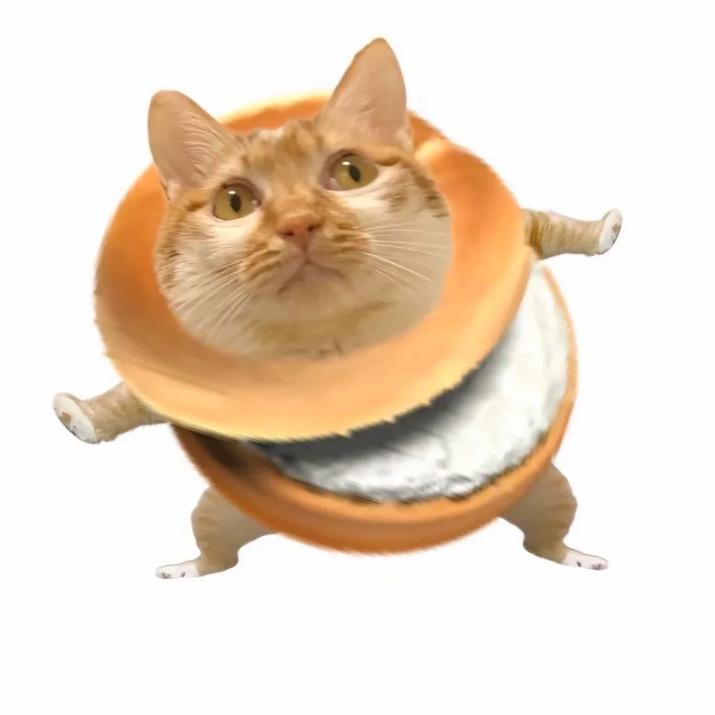 啦啦啦