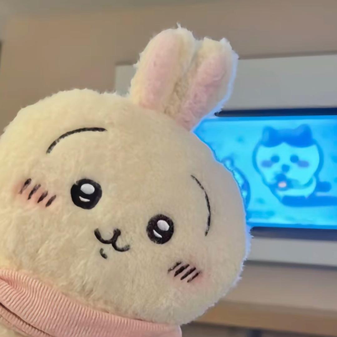 偷老公工资买黄色怪叫兔花光存款的嘴硬冤种