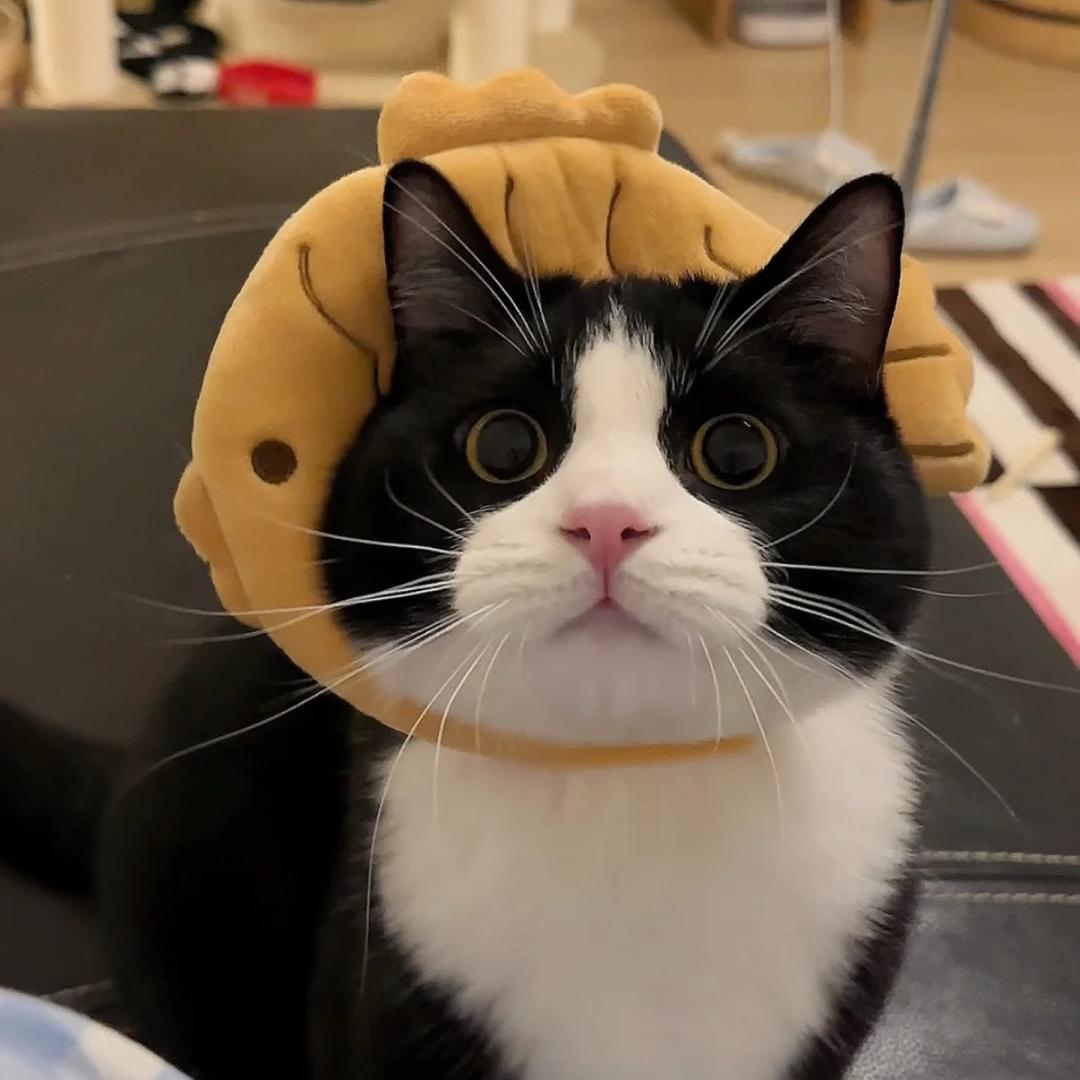 懒人鞋超爱薯条