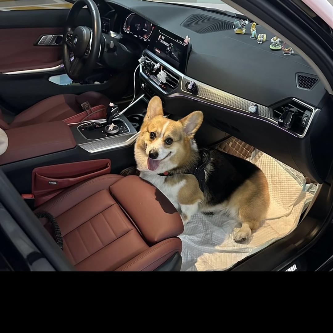 fhyt