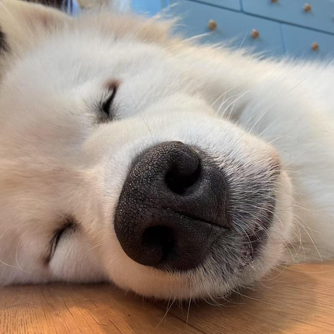 偏爱的眼睛