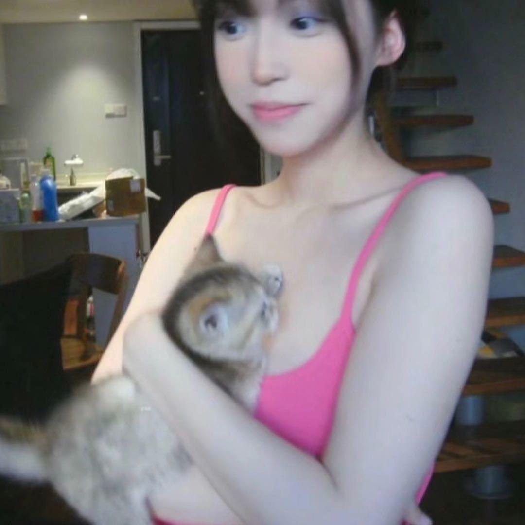 陈不凡.