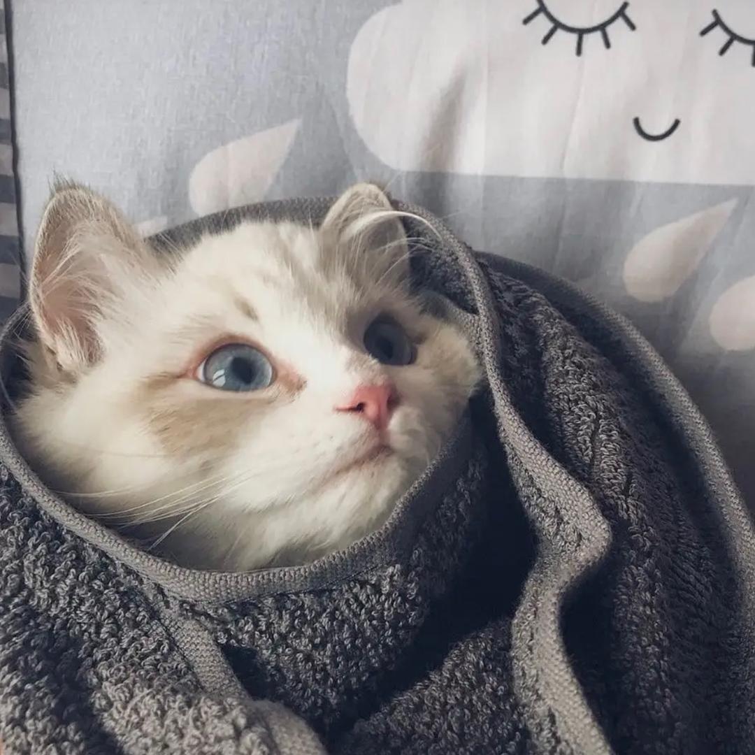 辣么多辣辣推荐