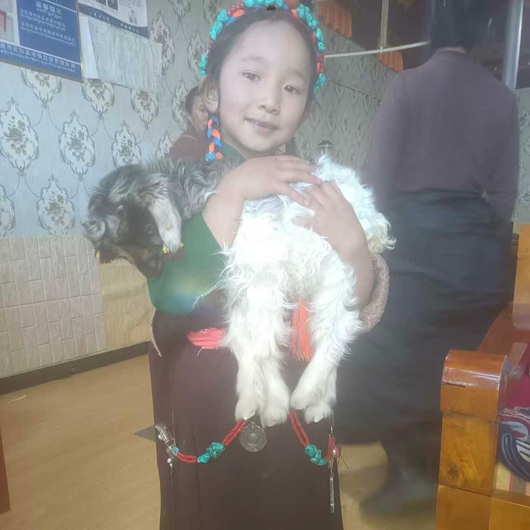 罗宗😁
