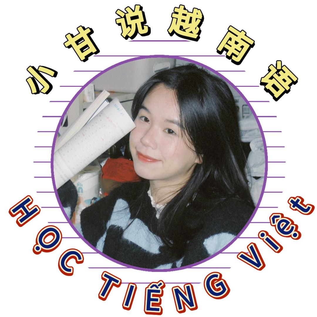 小甘说越南语🇨🇳🇻🇳南宁翻译