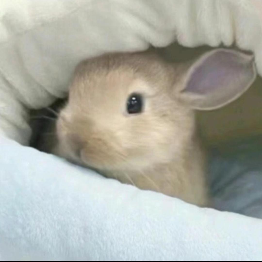 烦恼少亿点