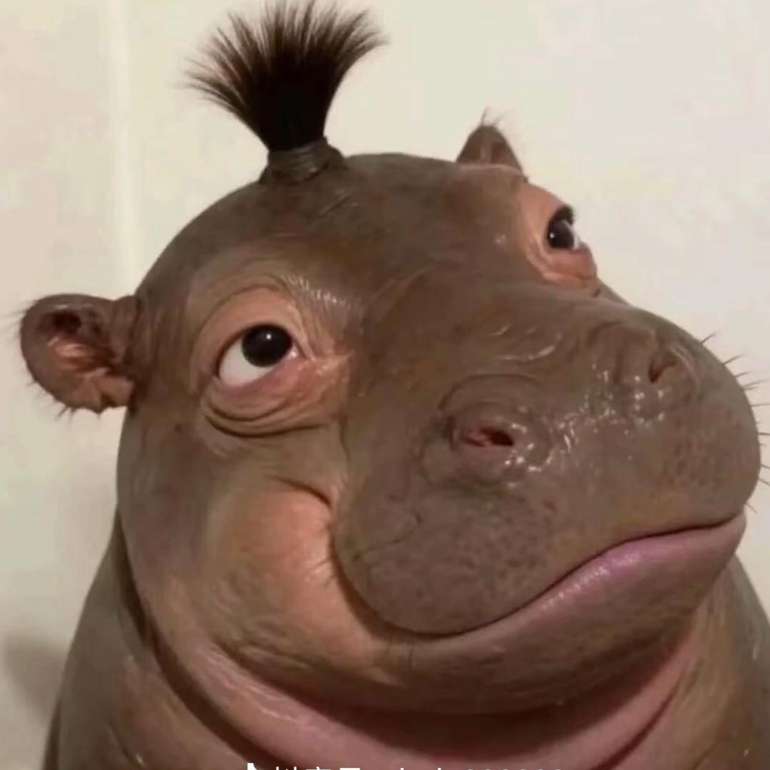 南极冰