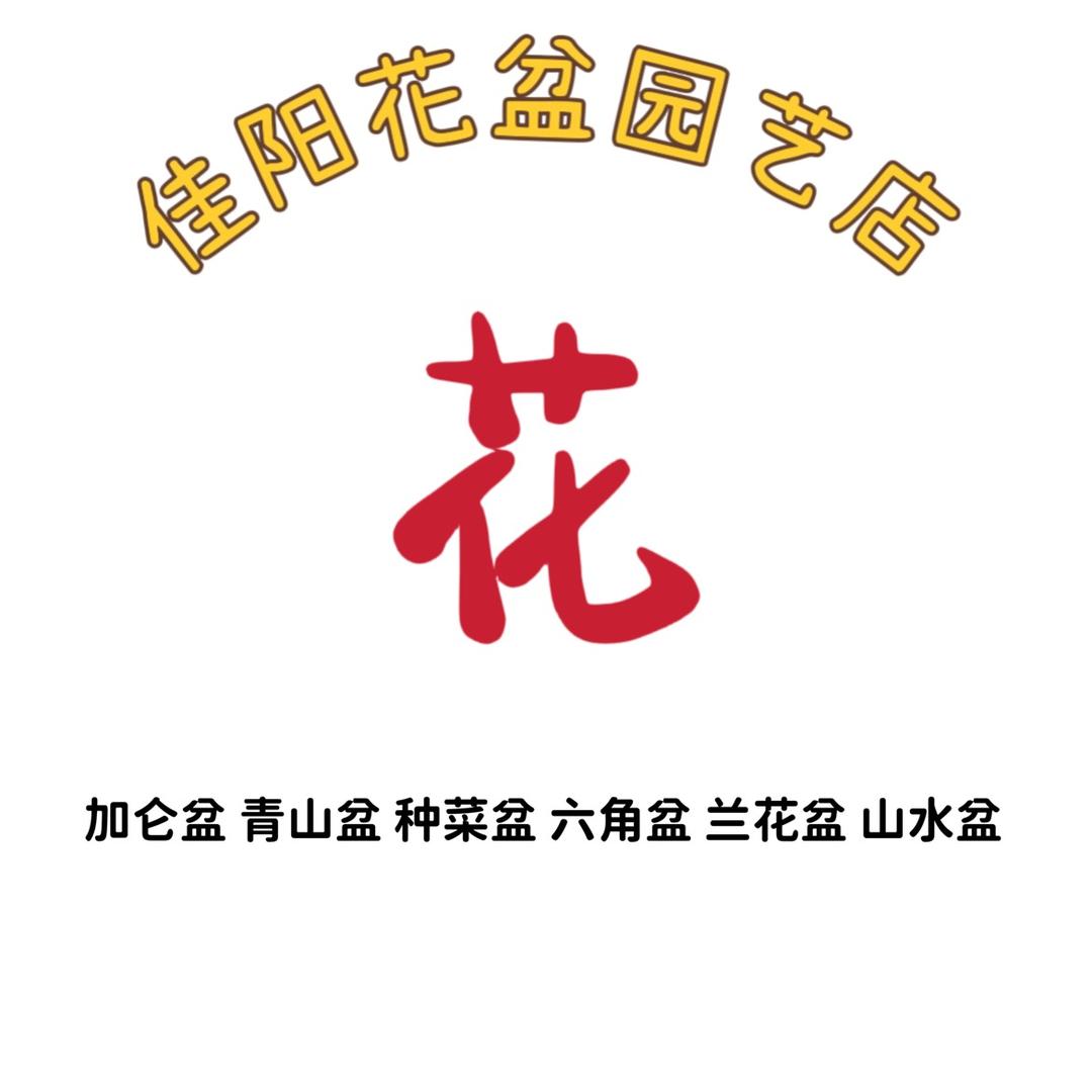佳阳花盆园艺