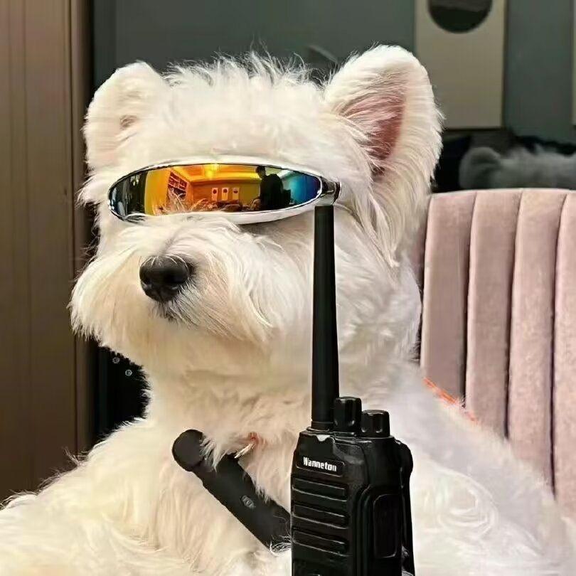 你也走了很远的路吧