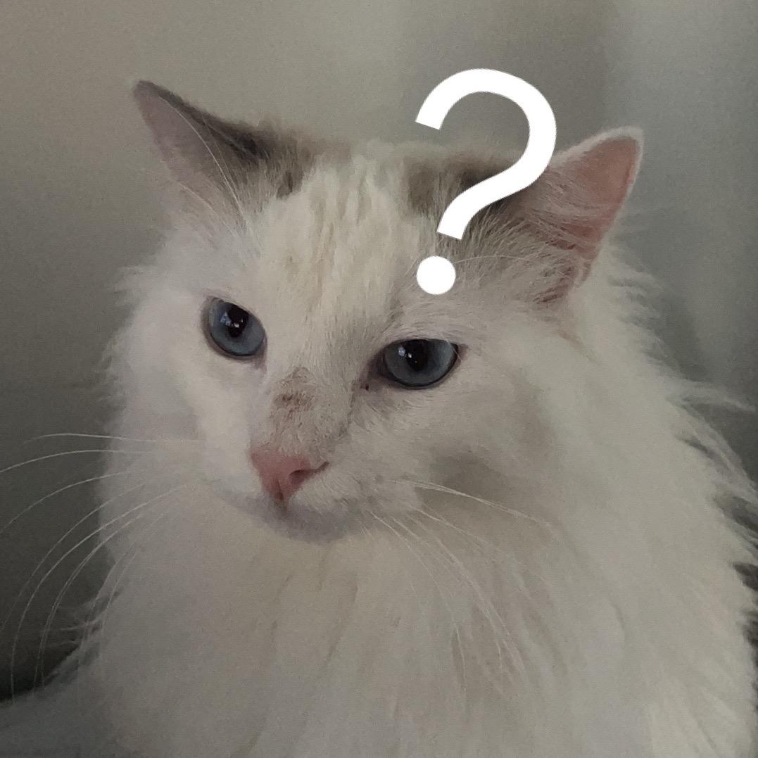 长白山小野猪o.O